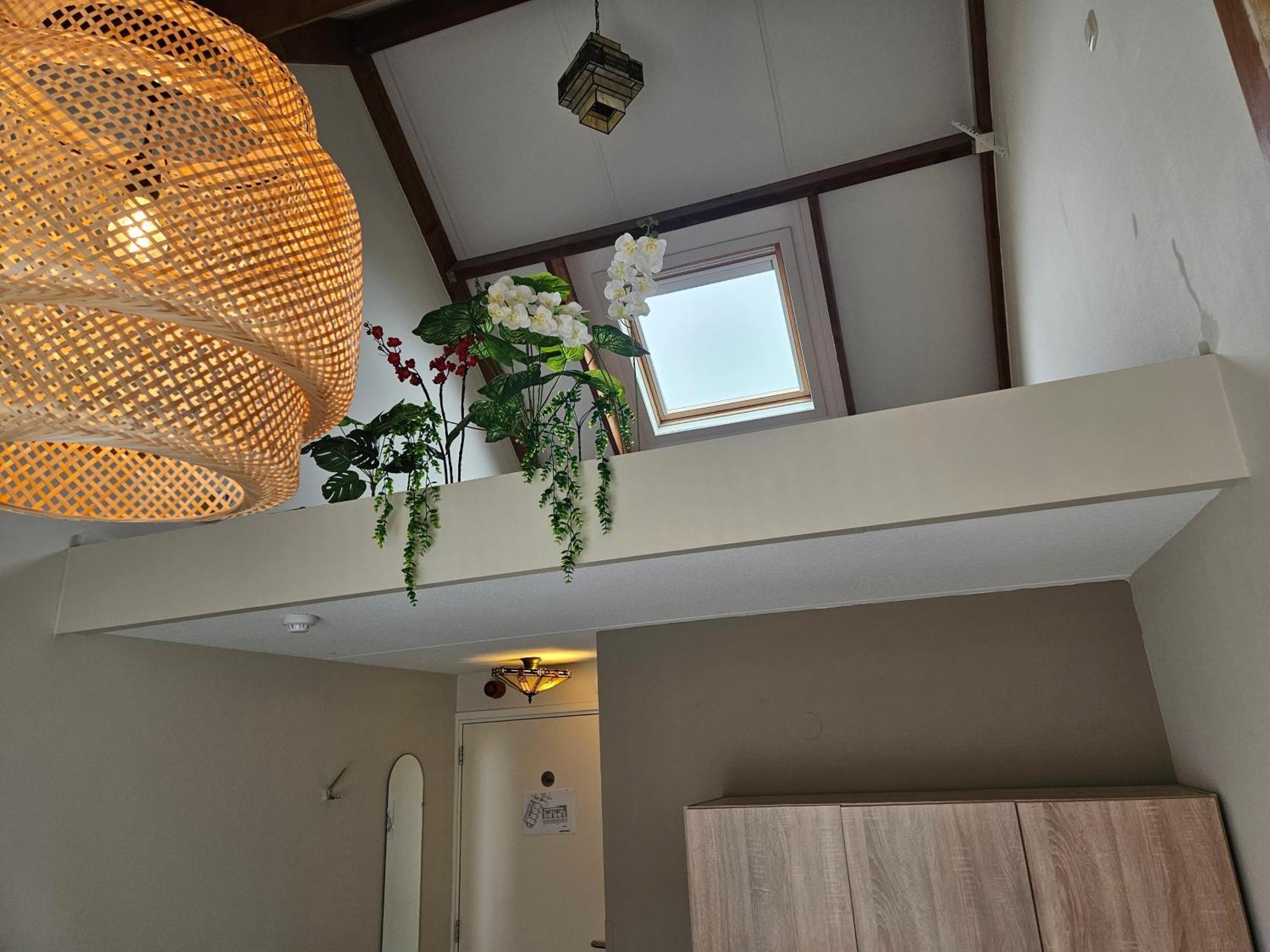 Hotel Dolores Ameland 内斯 外观 照片