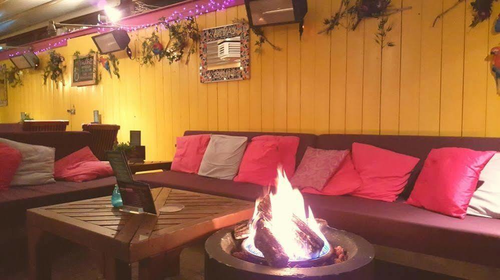 Hotel Dolores Ameland 内斯 外观 照片